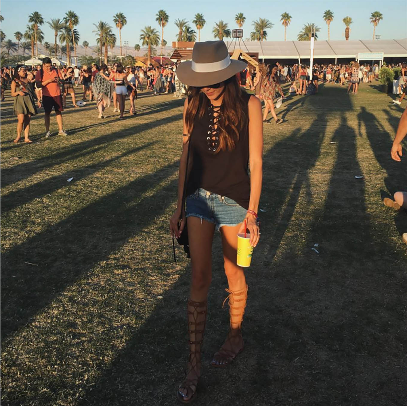 coachella5