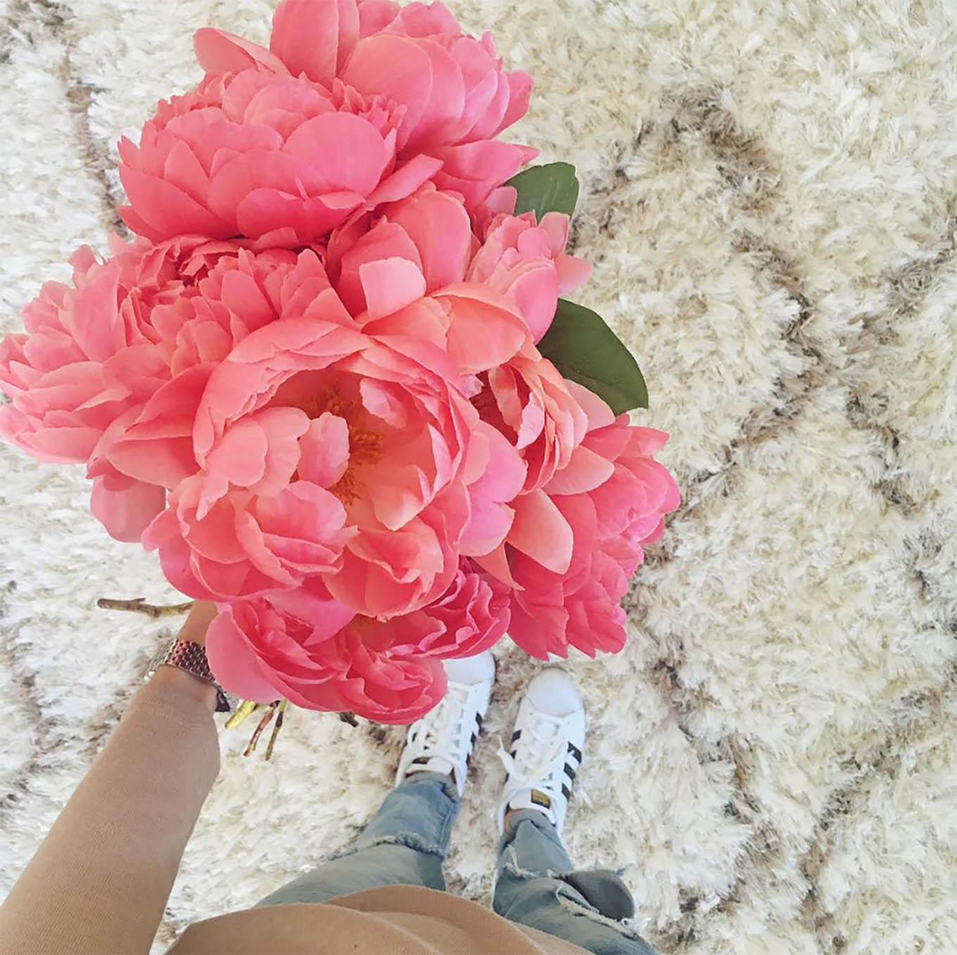 bright pink peonies