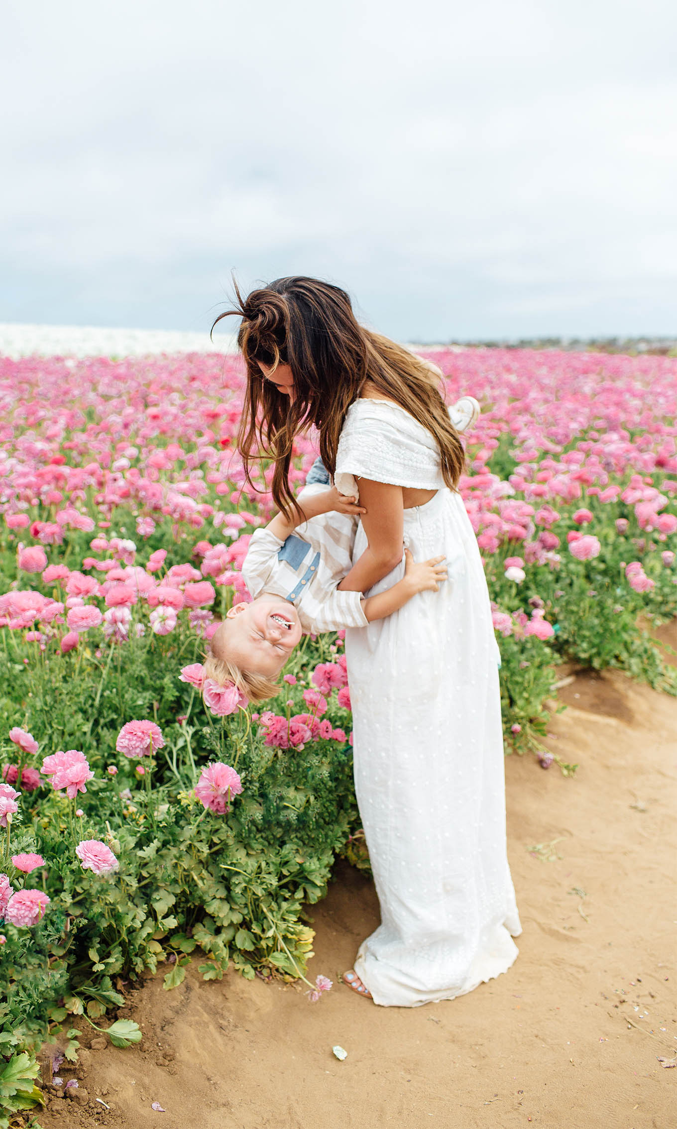 pink flowers