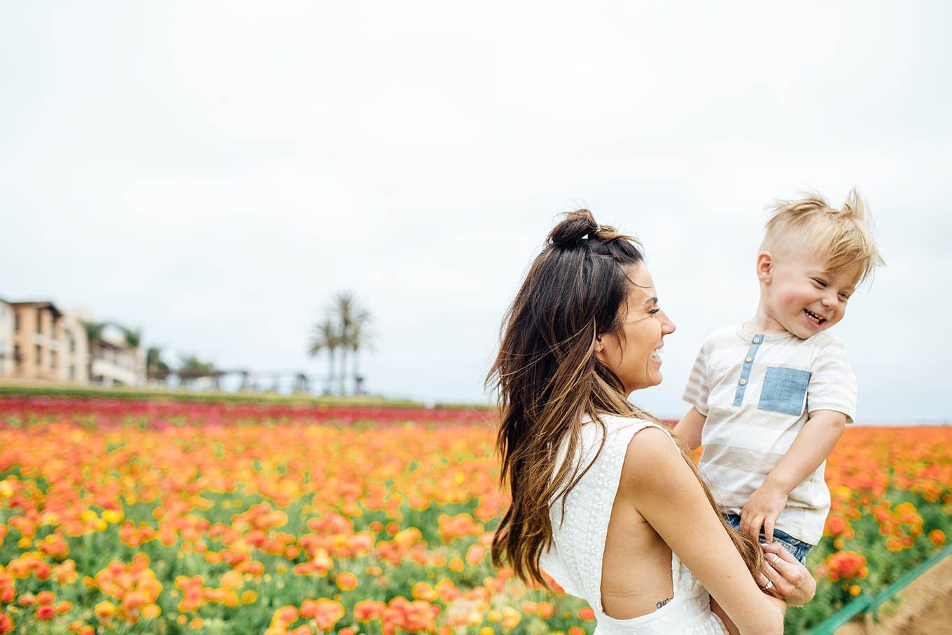 flower fields hello fashion blog