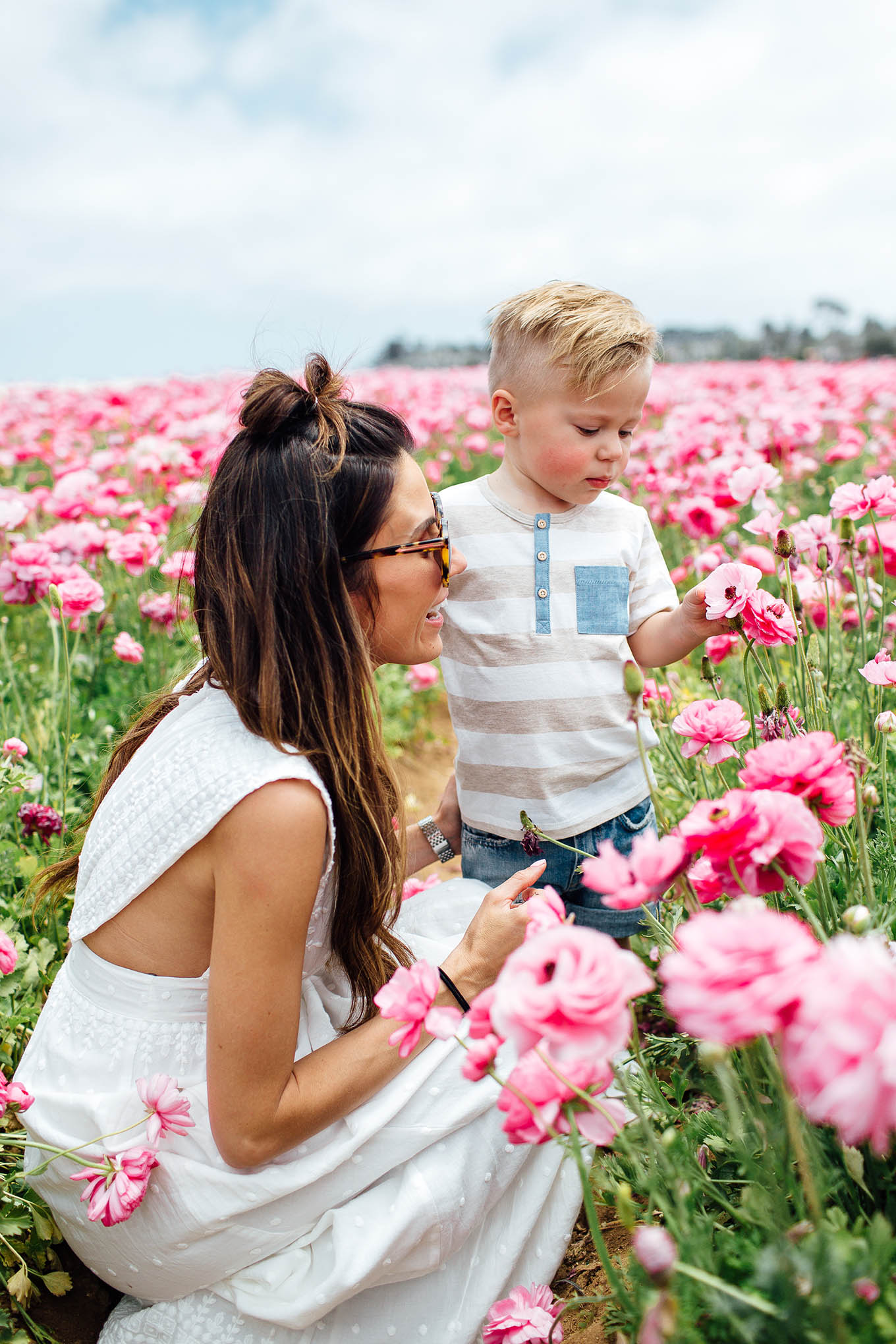 Flower Fields in the US