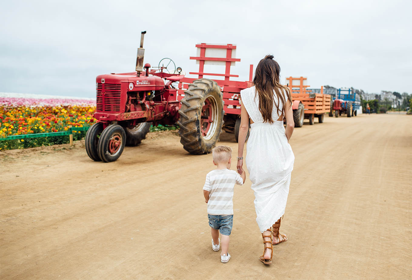 Carlsbad Flower Field Tractor