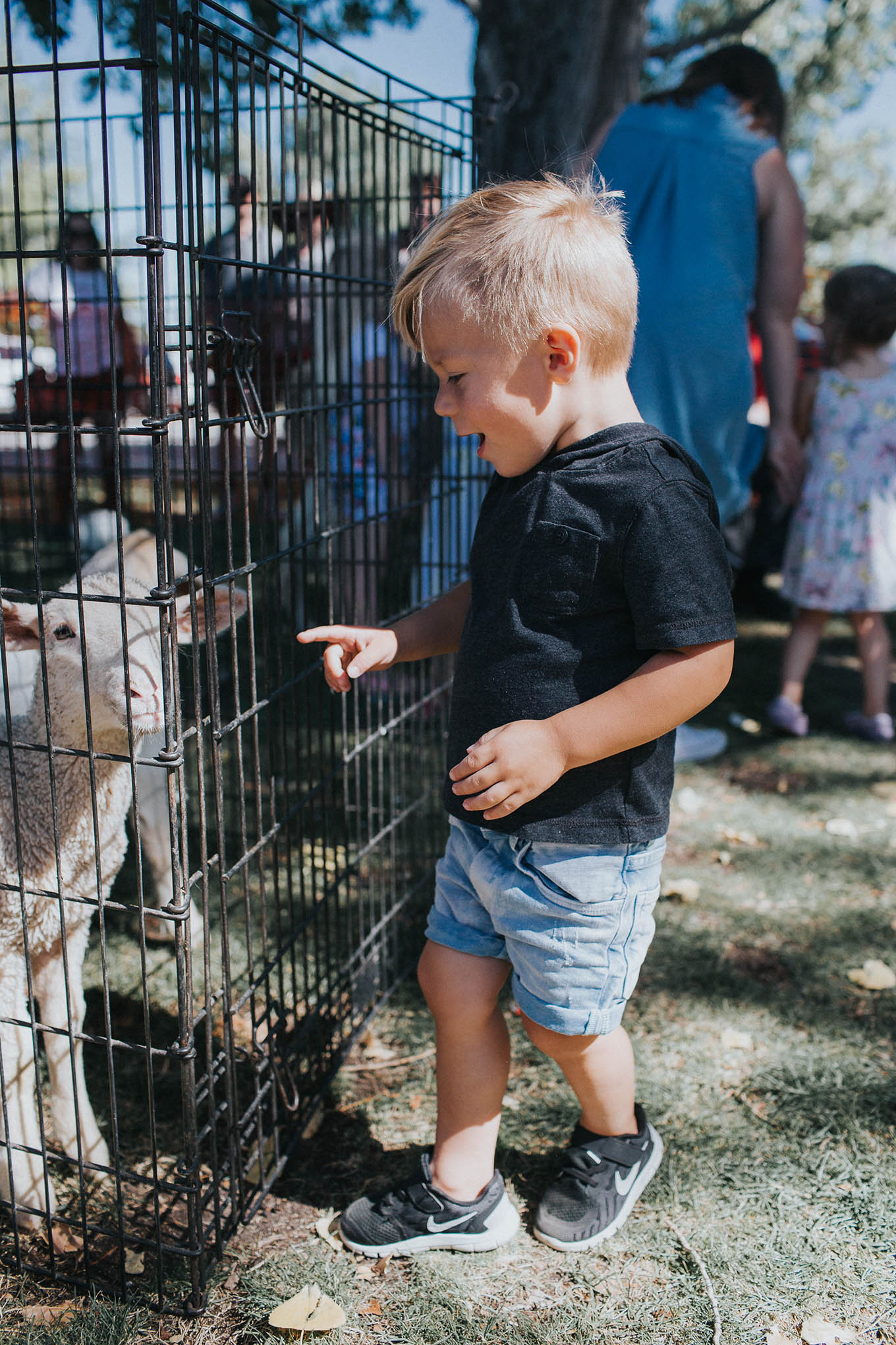 petting zoo