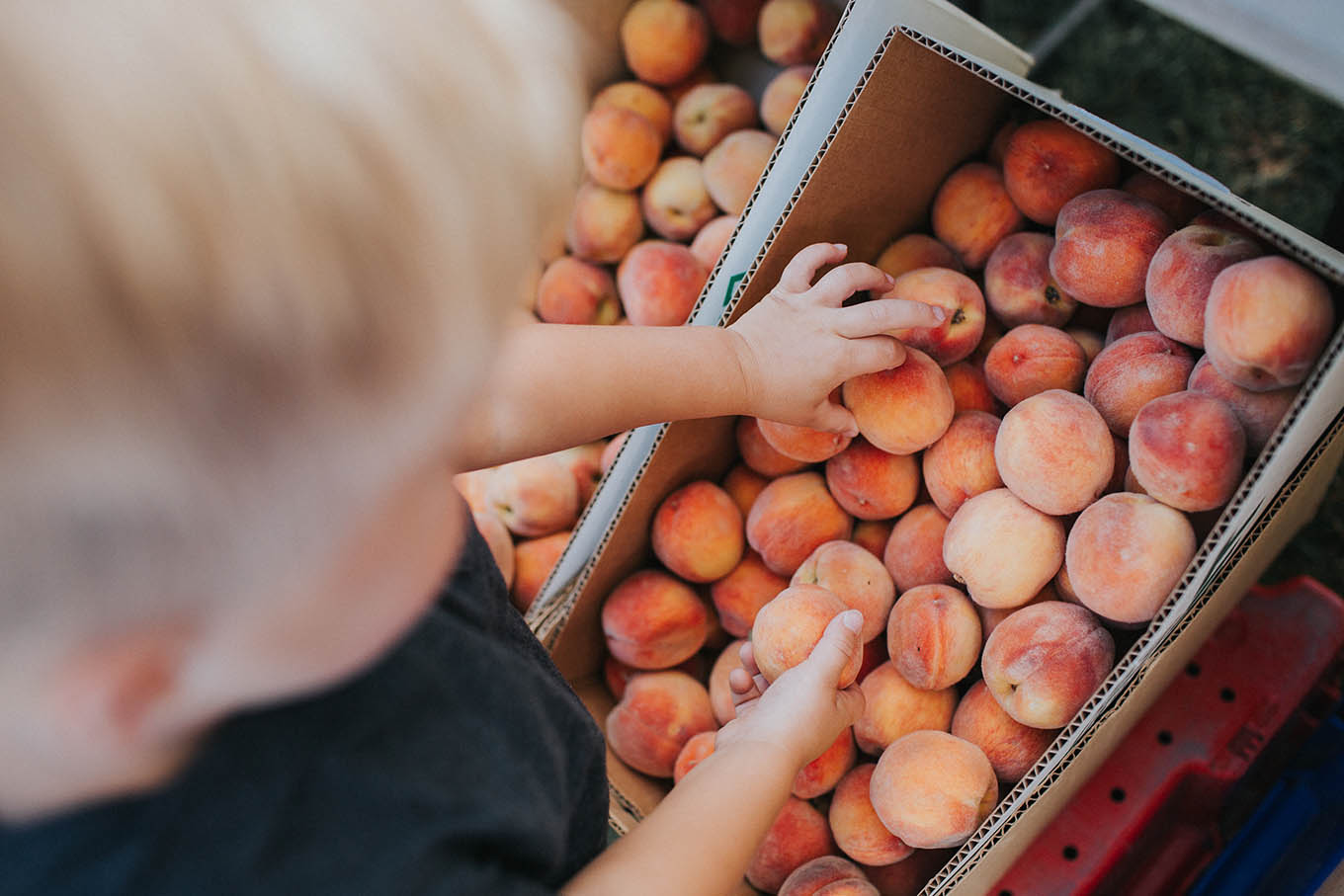 farmers market