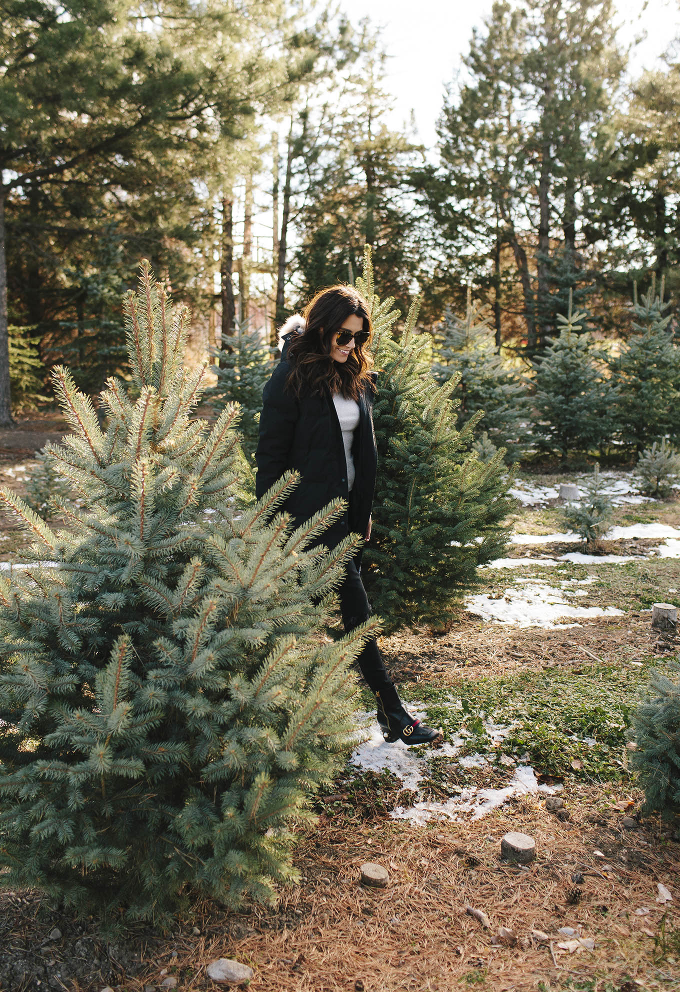 christmas tree farm utah