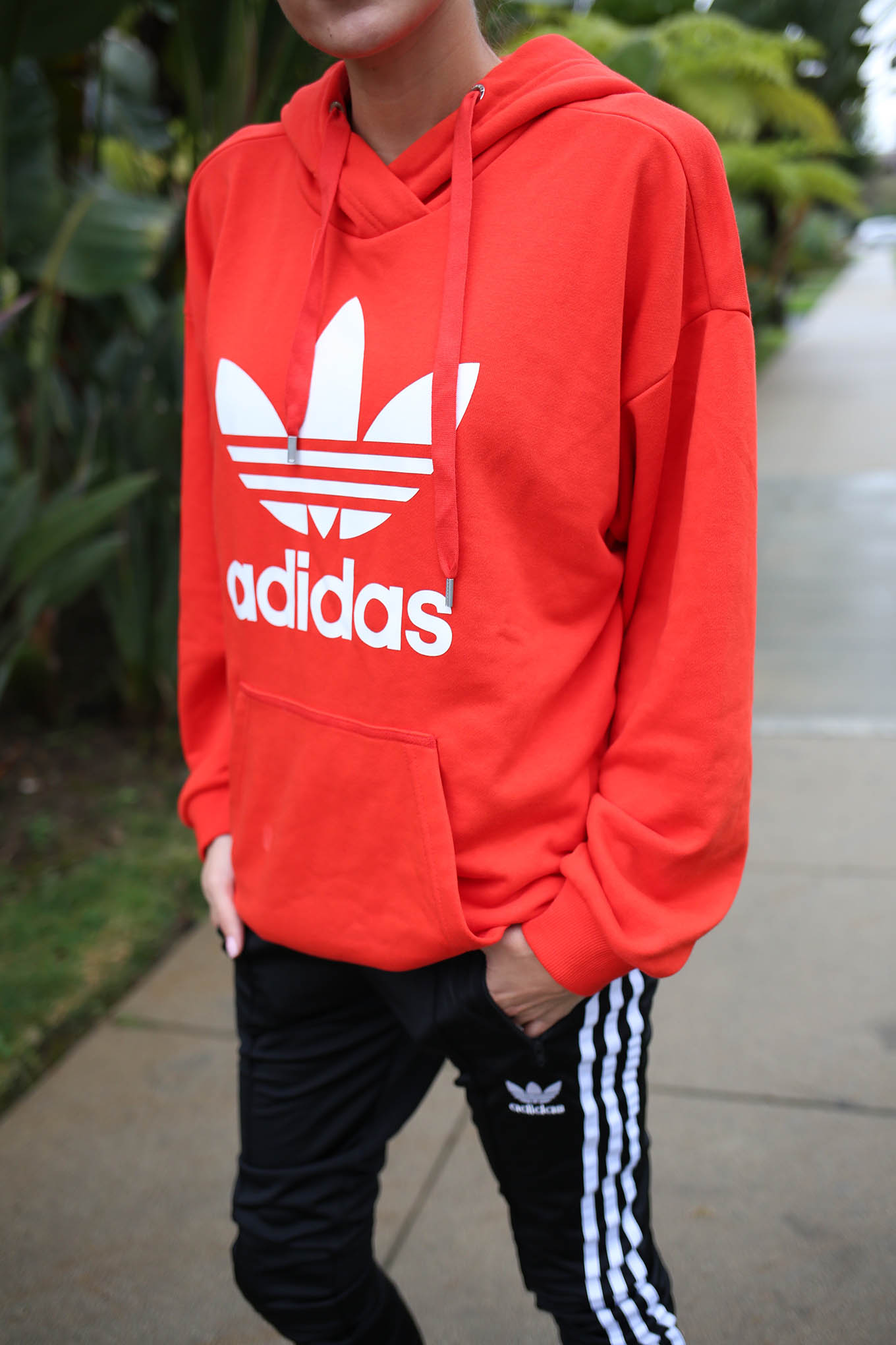 adidas sweatshirt