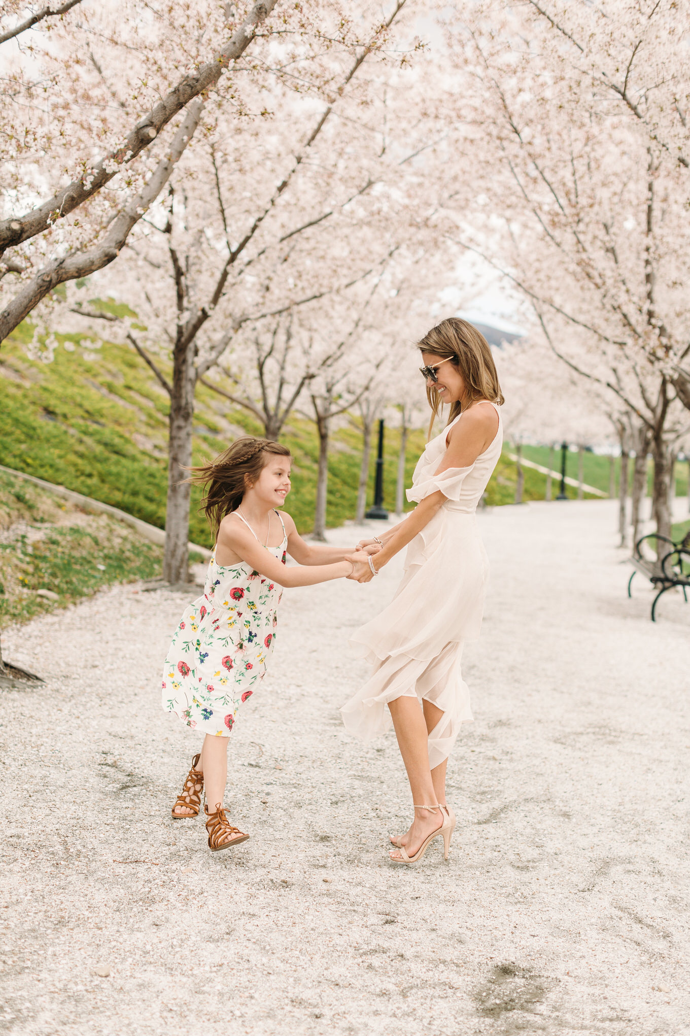 utah cherry blossoms