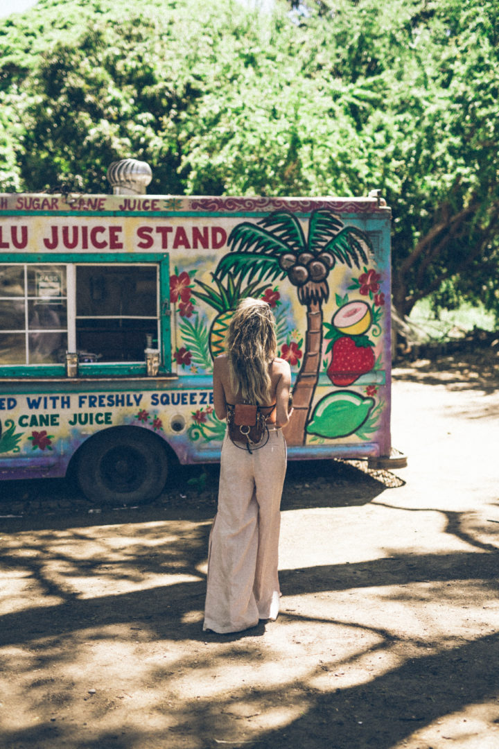 christine andrew hawaii