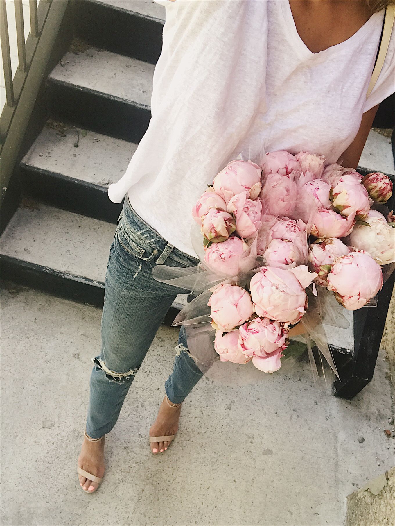 peonies