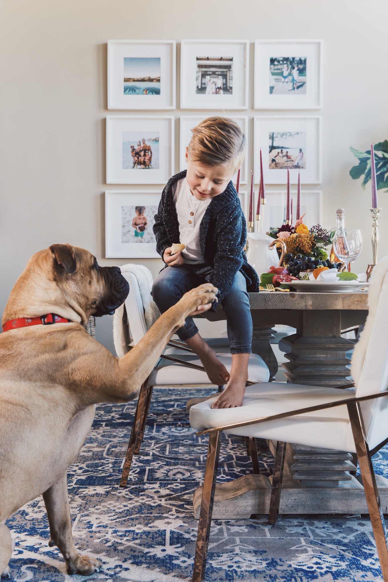 boy and dog