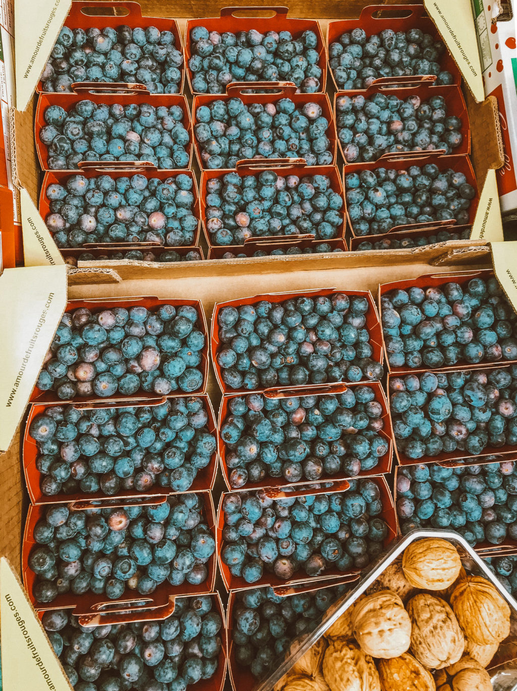 Fruit