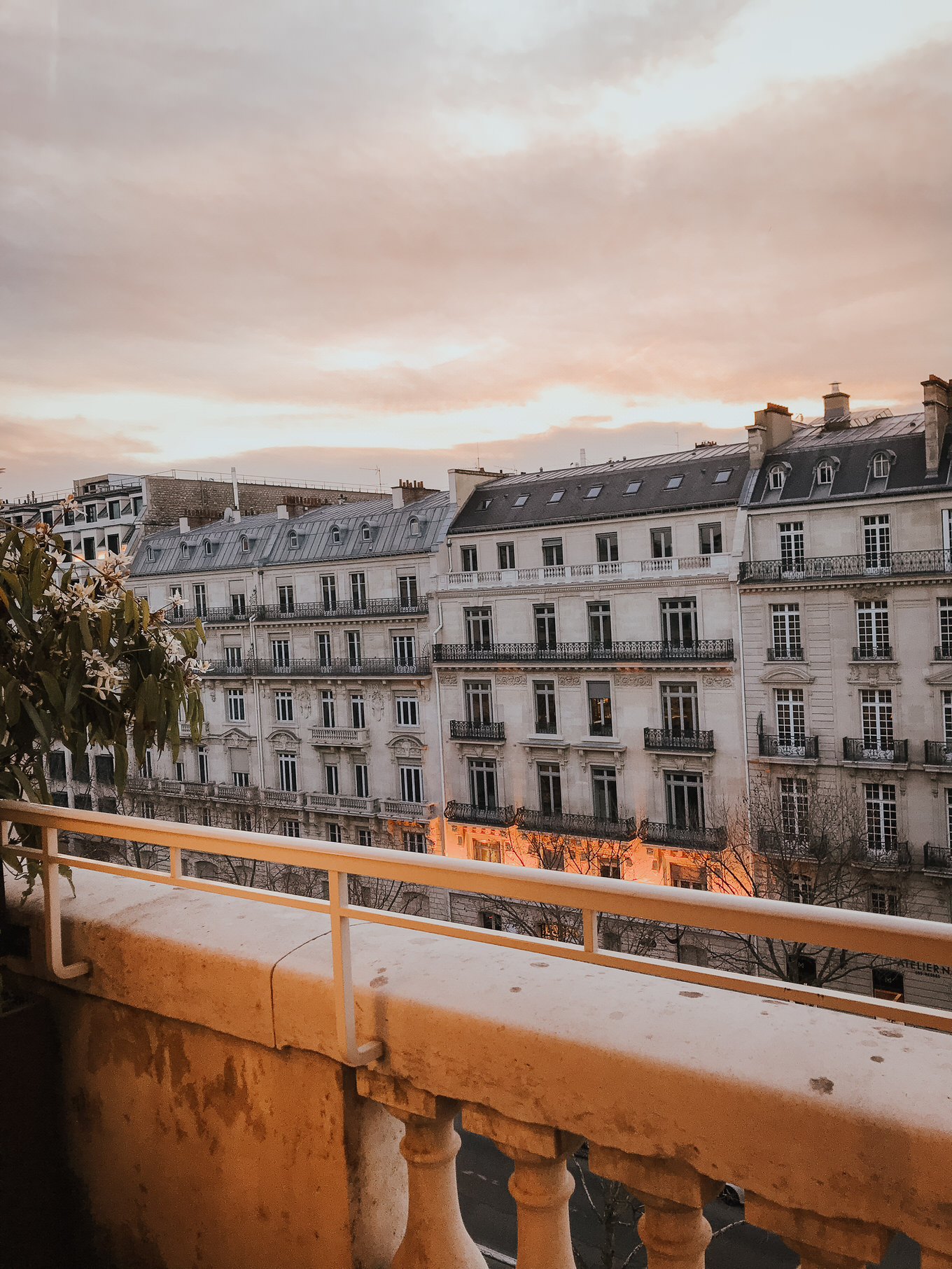 parisian views