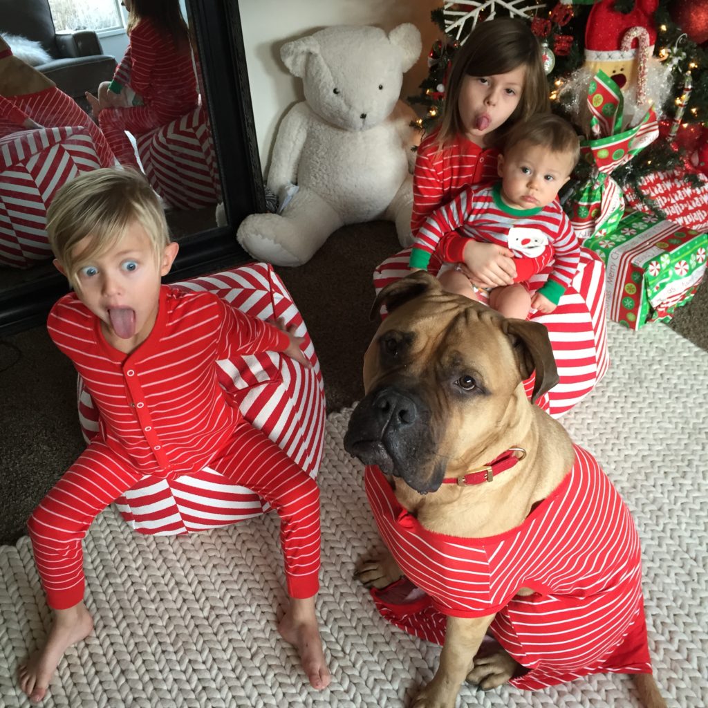 blended families
